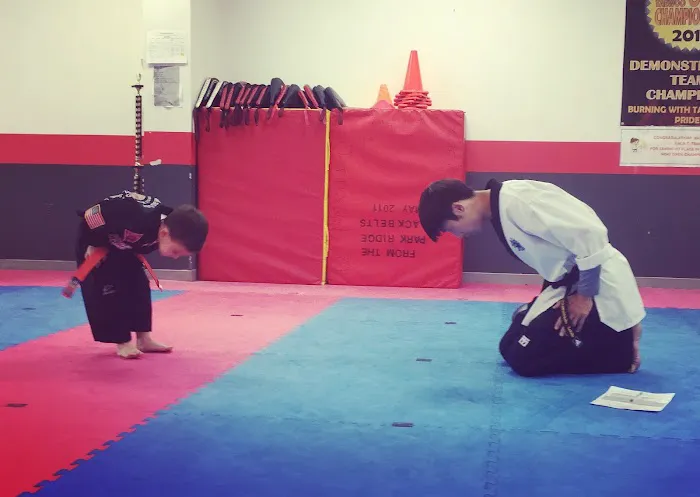 Summit Taekwondo of Montvale Picture 4