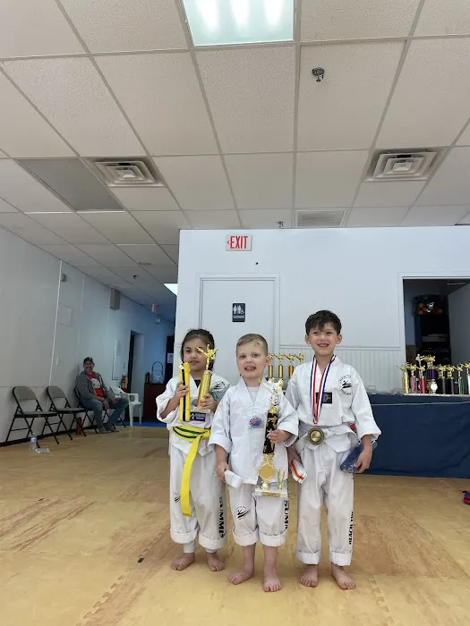 Summit Taekwondo of Montvale Picture 3