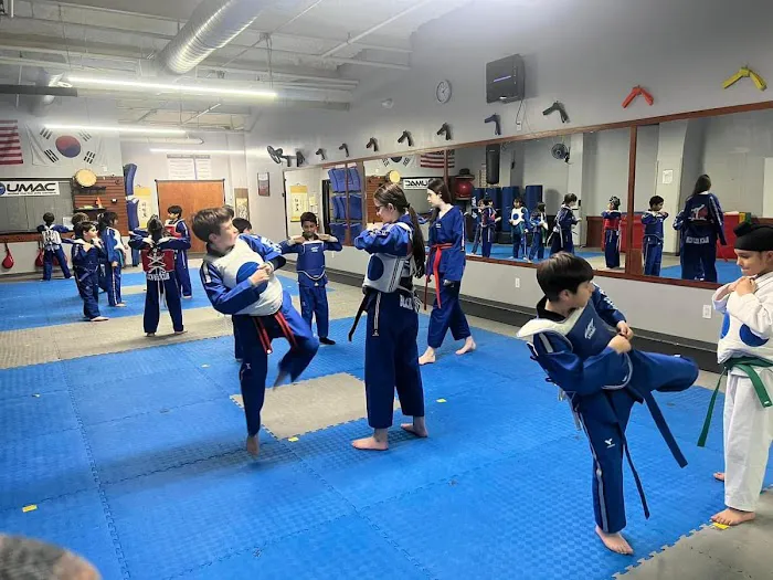 UMAC Ardsley - United Martial Arts Centers Picture 3