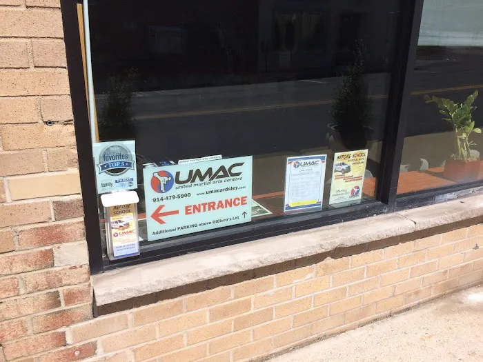 UMAC Ardsley - United Martial Arts Centers Picture 4