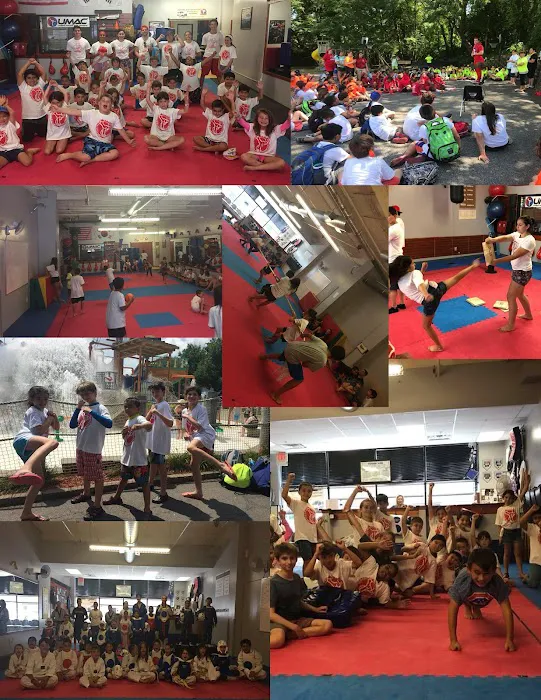 UMAC Ardsley - United Martial Arts Centers Picture 7