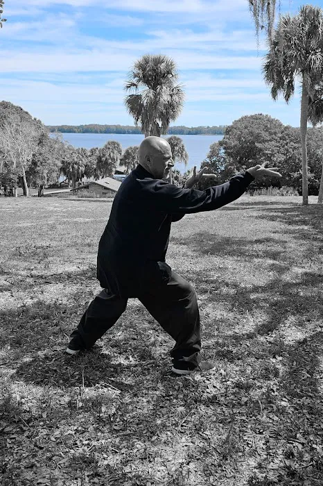 Peter Kwok's Kung Fu Academy Picture 1