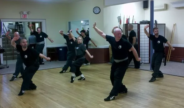 Peter Kwok's Kung Fu Academy Picture 5