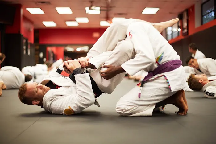 Training Grounds Jiu-Jitsu & MMA Picture 6
