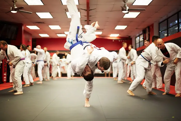 Training Grounds Jiu-Jitsu & MMA Picture 9
