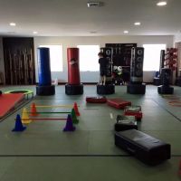 Immortal Dragon Martial Arts ico