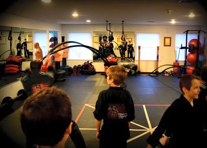 Immortal Dragon Martial Arts Picture 3