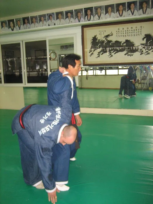 Iron Eagle Hapkido Korean Martial Arts Academy Picture 5