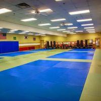 Bill Stevens Karate ico