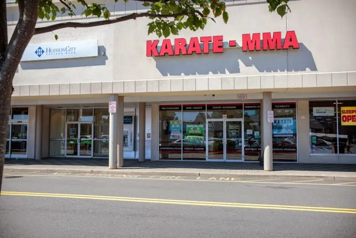 Bill Stevens Karate Picture 5