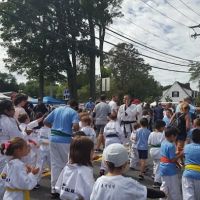 Hong Ik Martial Arts ico
