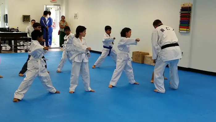 Hong Ik Martial Arts Picture 2