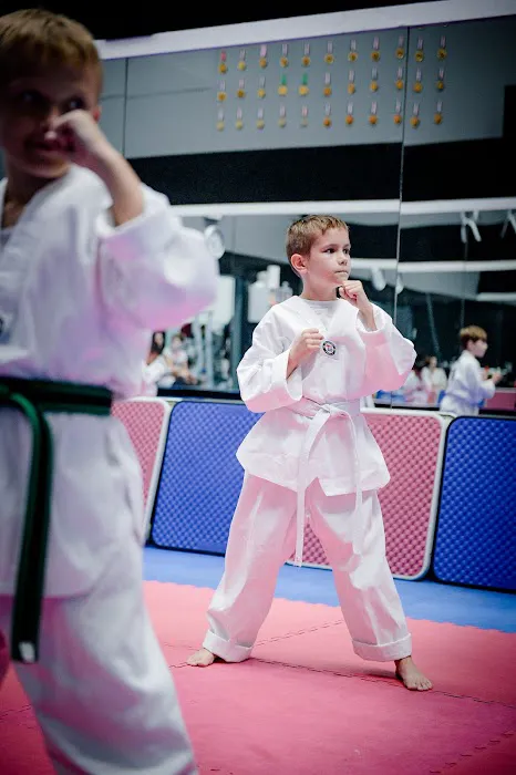 Panthers Taekwondo Picture 6