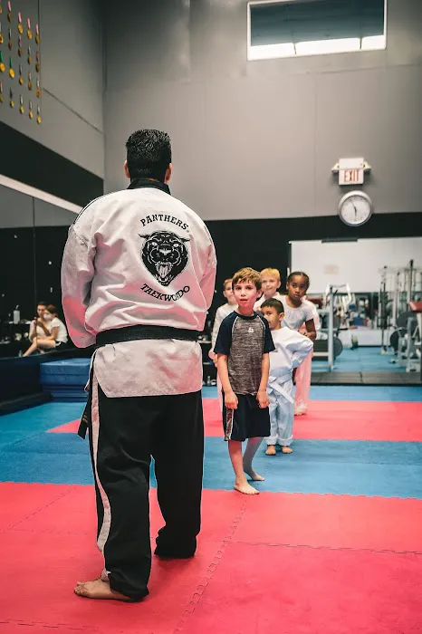 Panthers Taekwondo Picture 7