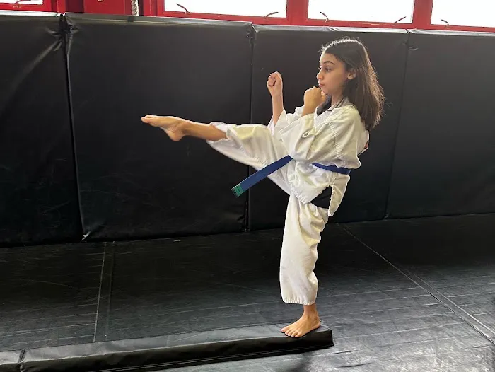 Sensei Justin's Community Dojo Picture 11