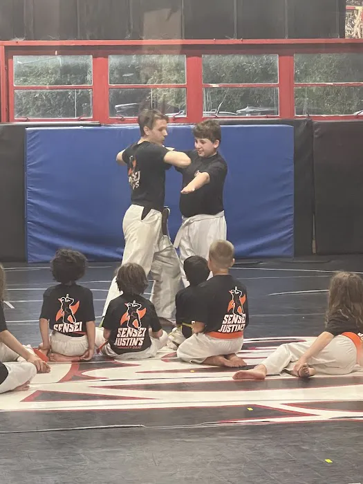 Sensei Justin's Community Dojo Picture 15