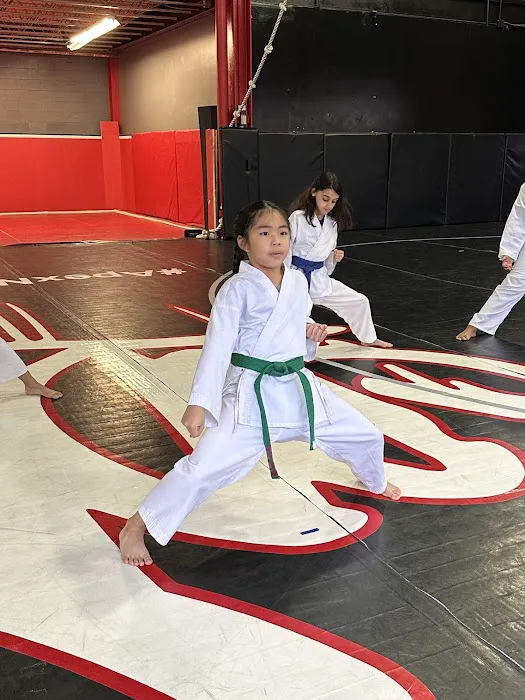 Sensei Justin's Community Dojo Picture 13