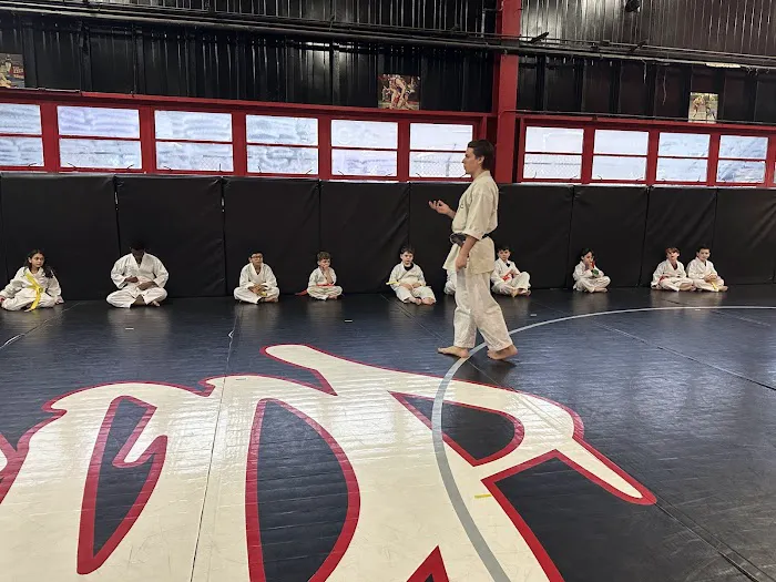 Sensei Justin's Community Dojo Picture 16