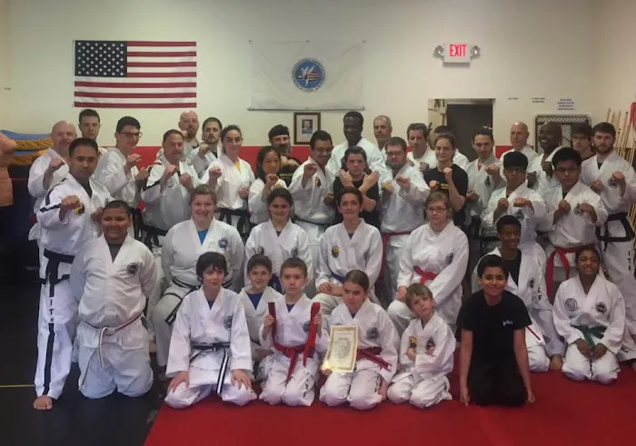 Wushu Taekwon-Do Academy Picture 1