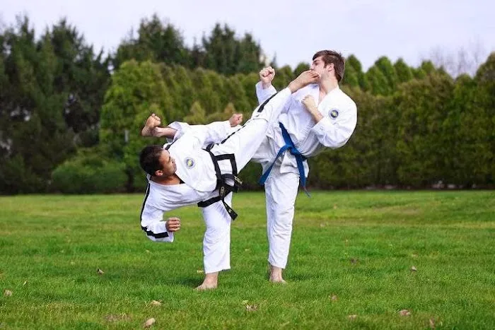 Wushu Taekwon-Do Academy Picture 2