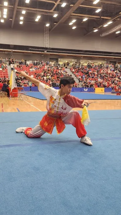 Wushu Taekwon-Do Academy Picture 5