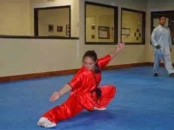 Wushu Taekwon-Do Academy Picture 6