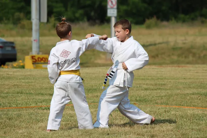 Kickside Martial Arts Picture 9