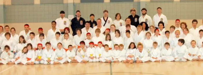 Traditional Okinawan Karate of Kinnelon Picture 3