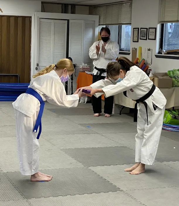 Traditional Okinawan Karate of Kinnelon Picture 2