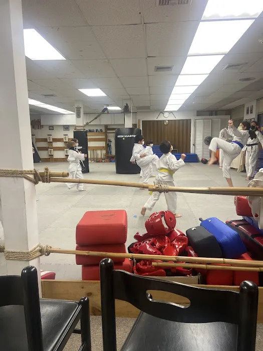Traditional Okinawan Karate of Kinnelon Picture 7