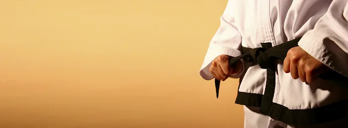 Traditional Okinawan Karate of Kinnelon Picture 8
