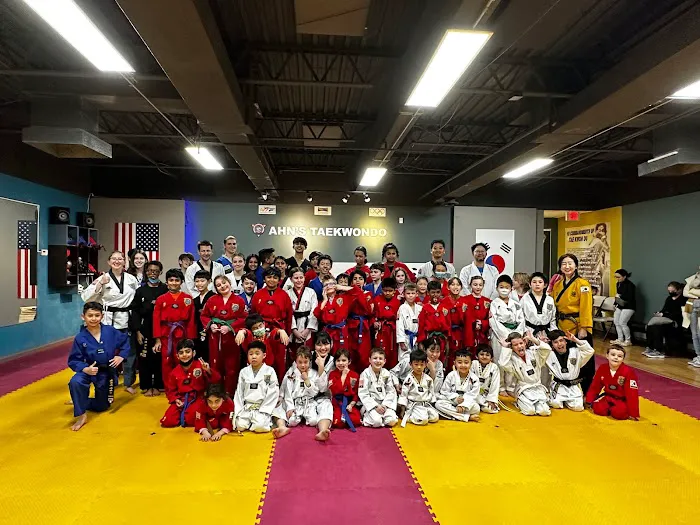Ahn's Taekwondo Academy Picture 1