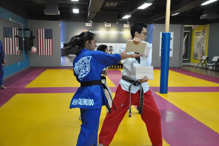 Ahn's Taekwondo Academy Picture 3
