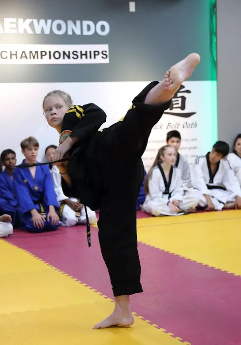 Ahn's Taekwondo Academy Picture 5