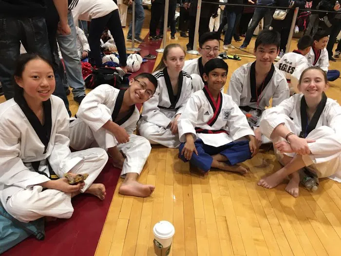 Ahn's Taekwondo Academy Picture 7