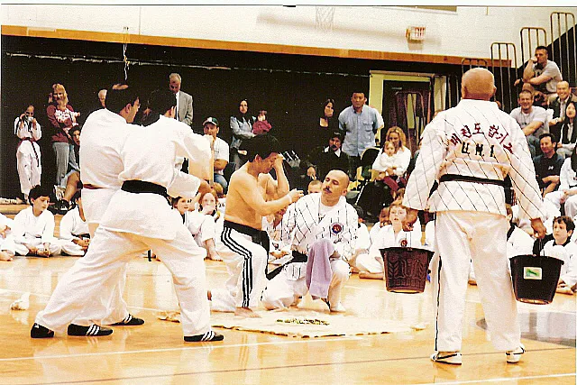Kim's Martial Arts (UMI) Picture 3