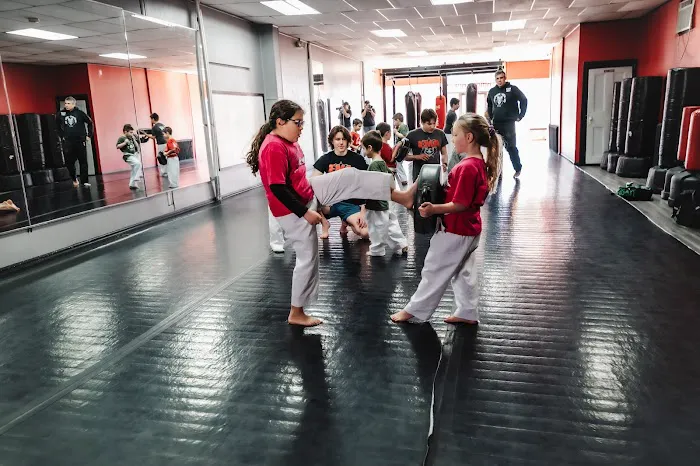 Evolutionary Martial Arts Picture 1