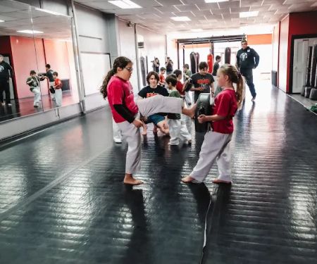 Evolutionary Martial Arts