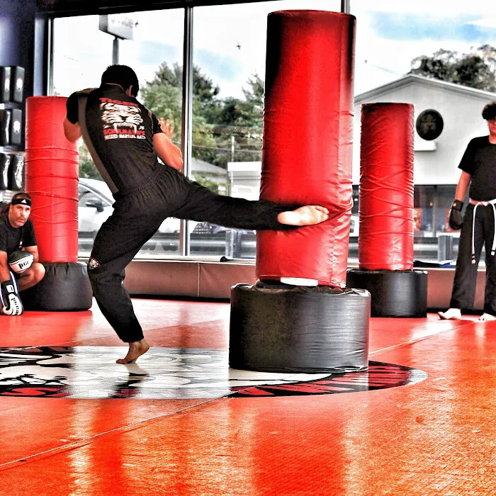 Tiger Schulmann's Martial Arts (Brick, NJ) Picture 3