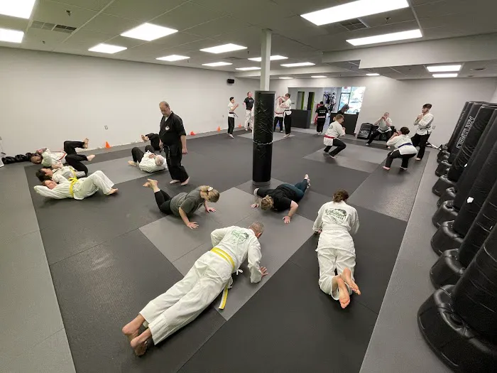 Evolution Martial Arts ⭐️⭐️⭐️⭐️⭐️ Picture 2