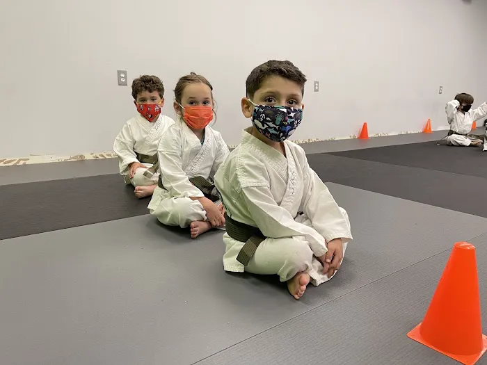 Evolution Martial Arts ⭐️⭐️⭐️⭐️⭐️ Picture 3