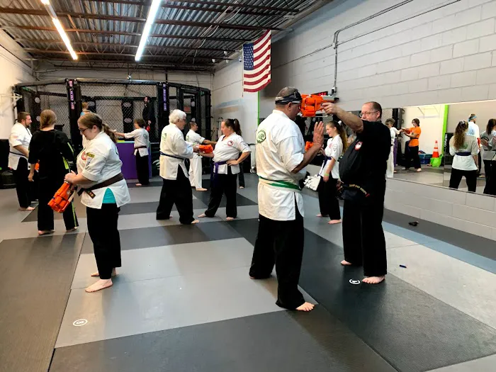Evolution Martial Arts ⭐️⭐️⭐️⭐️⭐️ Picture 4