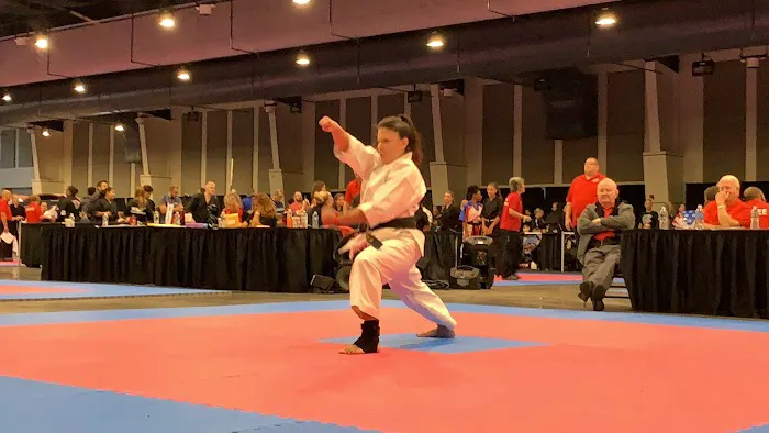 Evolution Martial Arts ⭐️⭐️⭐️⭐️⭐️ Picture 8