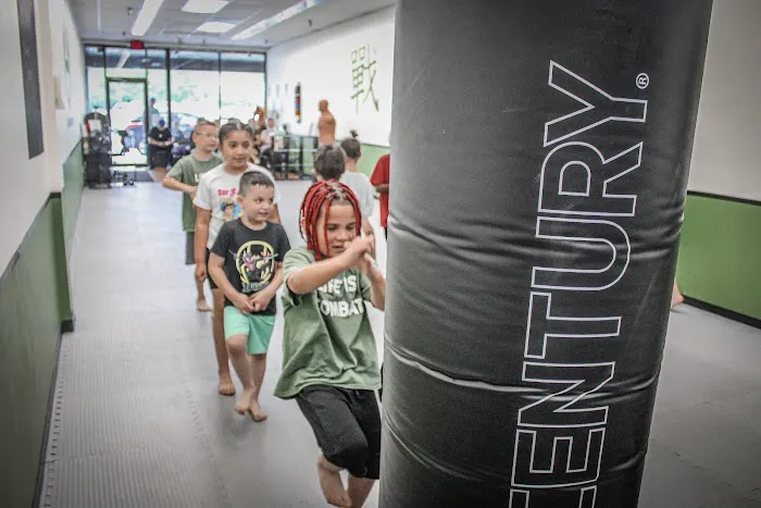 Hybrid Combat Karate Picture 2
