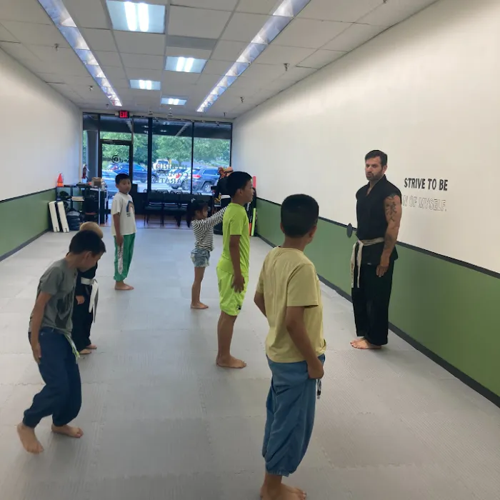 Hybrid Combat Karate Picture 5