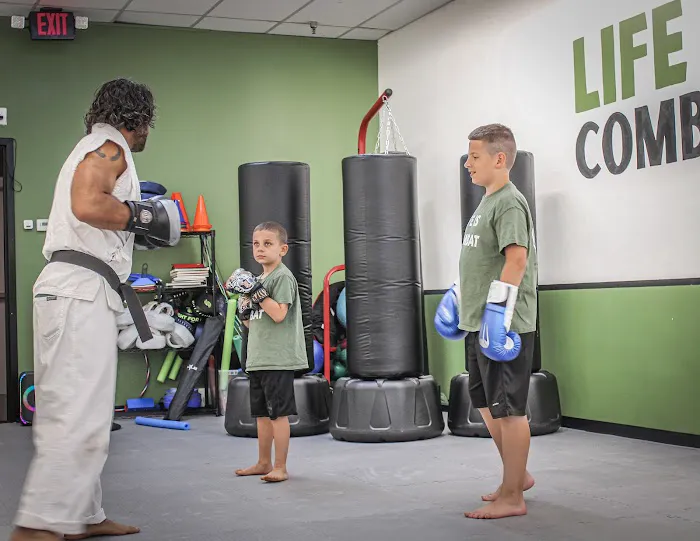 Hybrid Combat Karate Picture 9