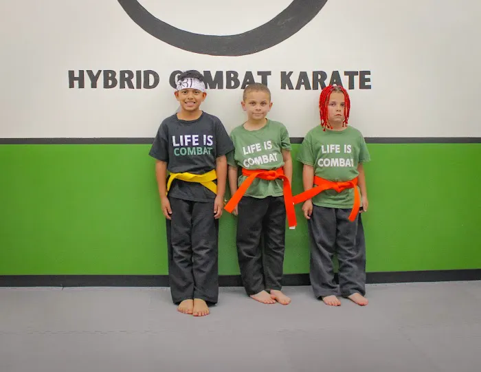 Hybrid Combat Karate Picture 7