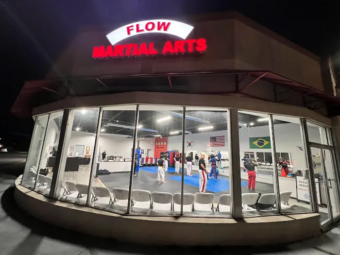 Flow Martial Arts, Jackson Picture 2