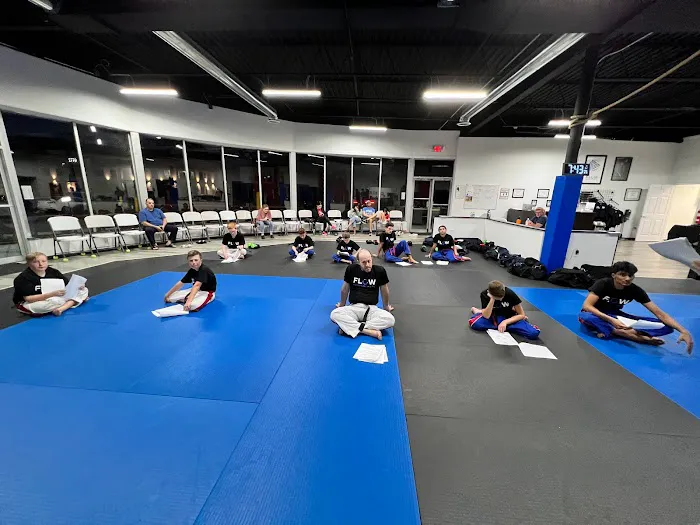 Flow Martial Arts, Jackson Picture 1