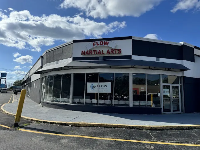 Flow Martial Arts, Jackson Picture 4